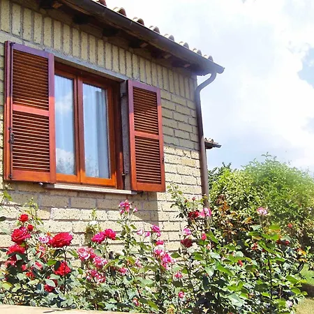 Montecasciano - Primula * Capranica