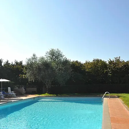 Montecasciano - Primula * Capranica