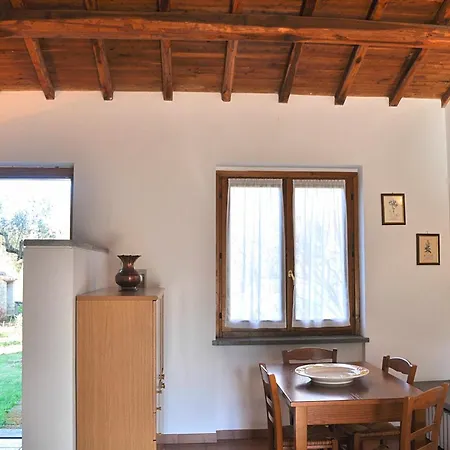 Montecasciano - Primula *