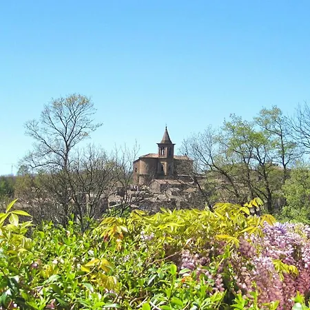 Montecasciano - Primula