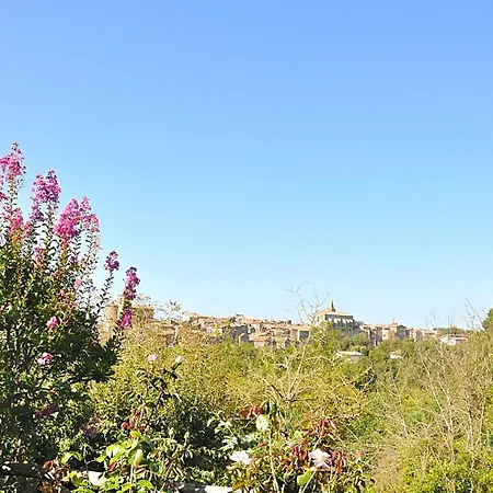 Montecasciano Primula Holiday home Capranica