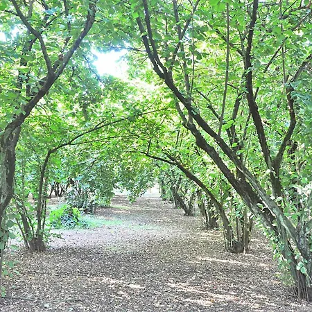 Montecasciano - Primula Feriehus