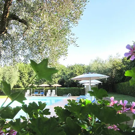 Montecasciano - Primula *