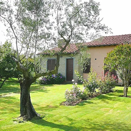 Montecasciano - Primula * Capranica