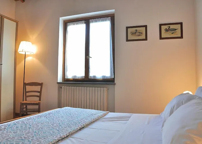 Montecasciano - Primula Capranica