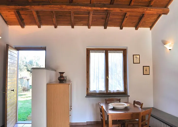 Montecasciano - Primula *