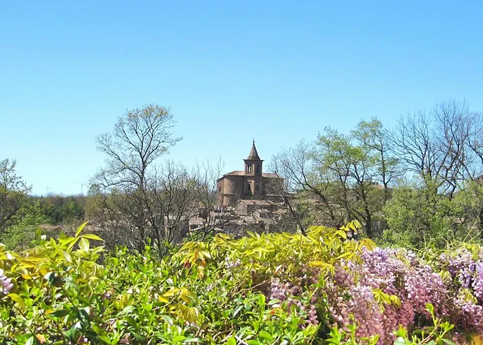 Montecasciano - Primula