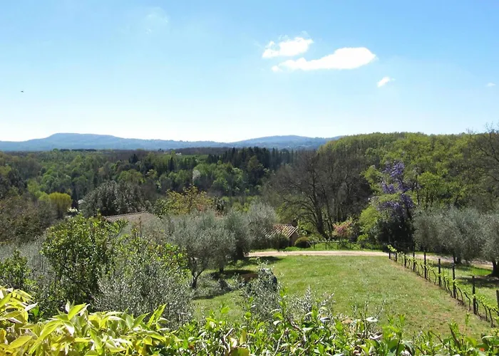 Montecasciano - Primula