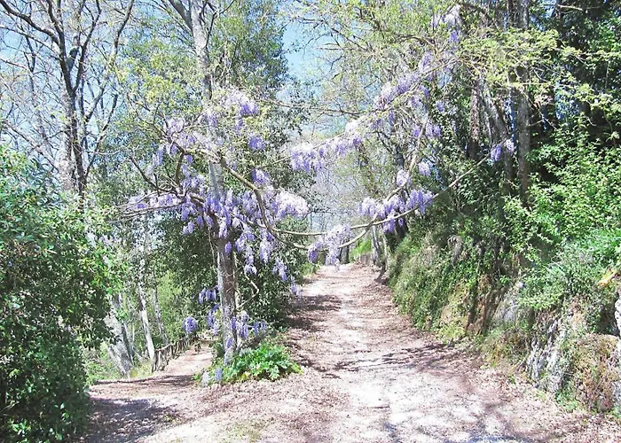Montecasciano - Primula 度假居 Capranica