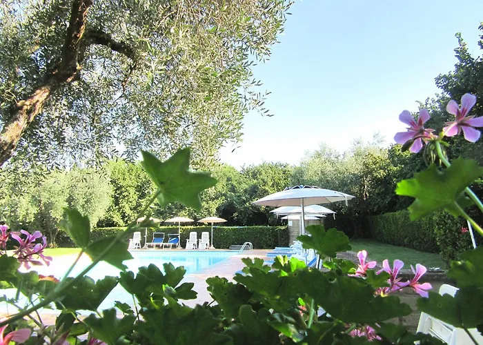 Montecasciano - Primula *