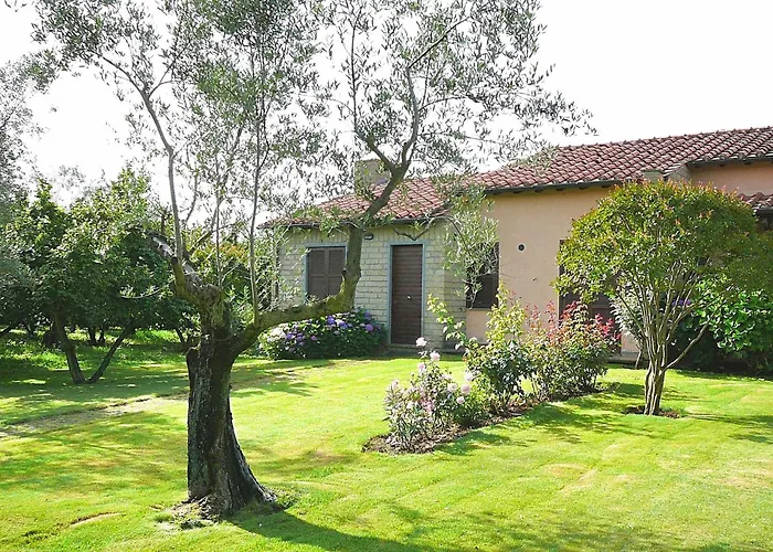 Montecasciano - Primula * Capranica